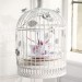 Чашка з блюдцем Wedgwood Harlequin Collection Cuckoo 